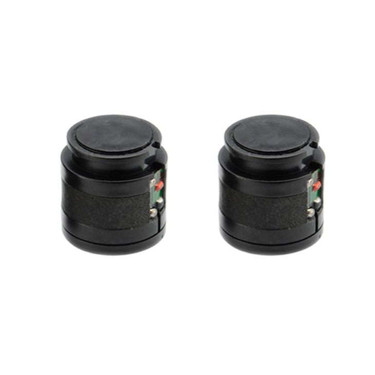 2025 Dynamic Microphone Capsules 2025 Dynamic Microphone Capsules