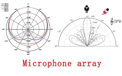 Principle of Microphone Array