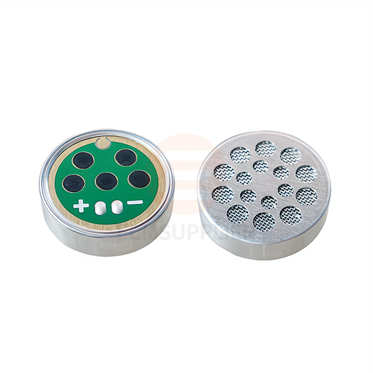Large Diaphragm Electret Microphone For Broadcast