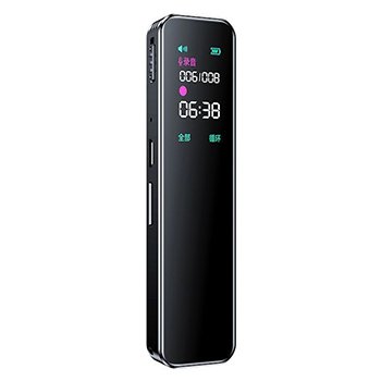 Voice recorder